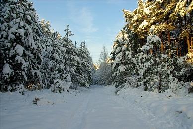 真遥遥领先？《宇宙机器人》共获年度游戏92次