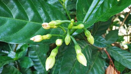 KK官方对战平台 冰霜之息席卷山谷，“冰霜幼龙”限时兑换开启！